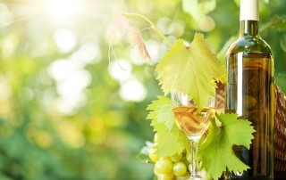 Botella de vino blanco | Wines Suite